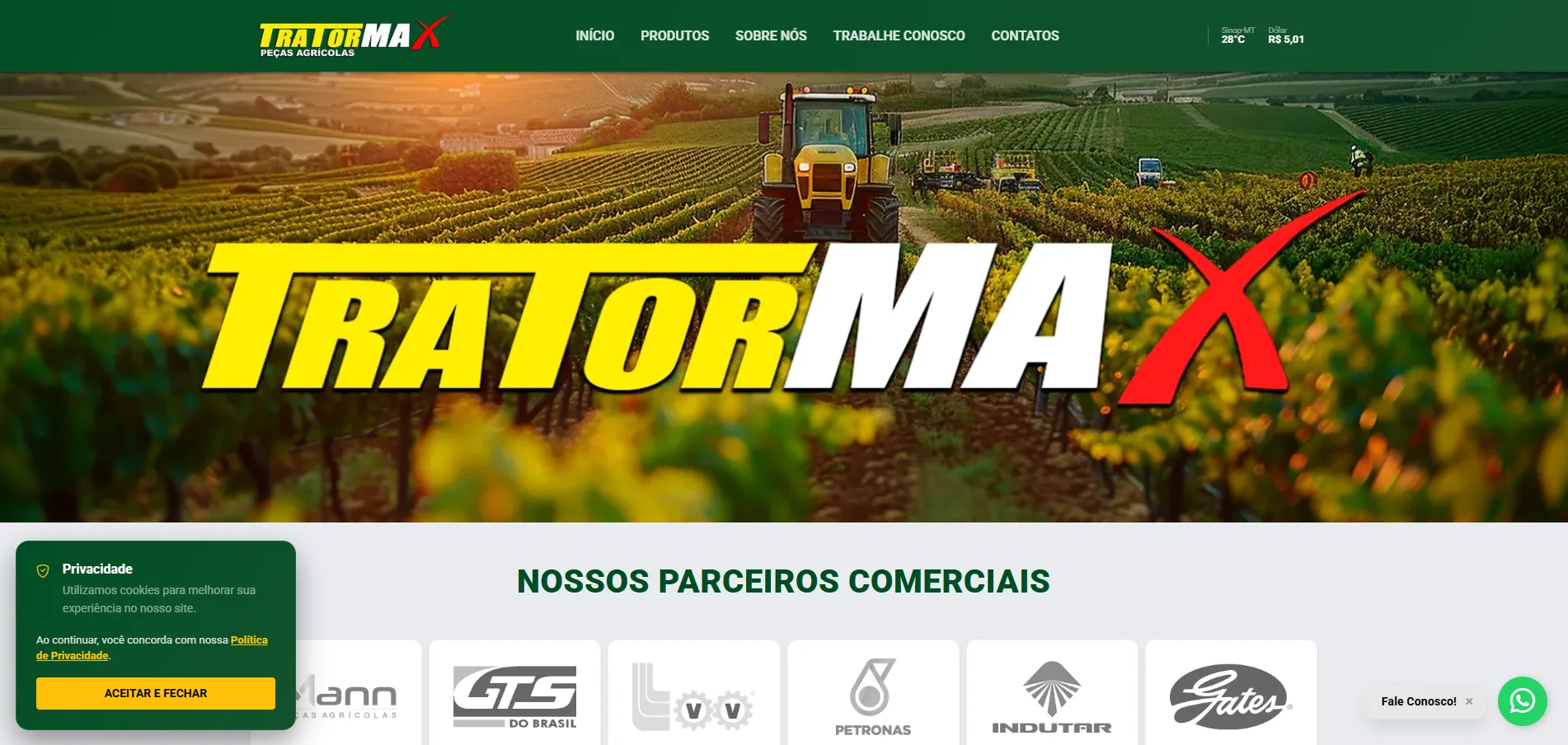 Print de Site Institucional TratorMax